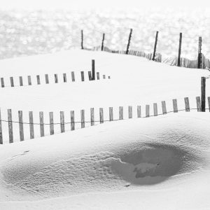 The sand dunes of Long Island in black and white.