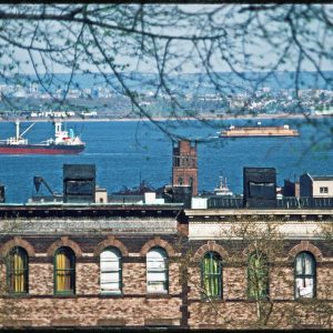 Upper New York Bay from Sunset Park