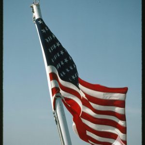 Seagull and flag at Alcatraz Island