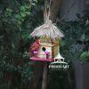 One Margarita Please - Red Cardinal Bird House 21 Red cardinal hanging out at the tiki hut during happy hour. Eating bird seeds and also looking for a