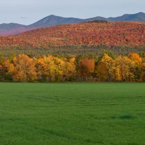 Autumn colors of the Whiteface Mountain Range from the West with green field foreground.