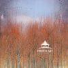 This composition combines 4 digital images to create a dream-like feel that beckons for spring to