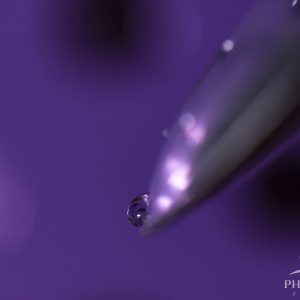 The very last drop teetering off the edge of a watering can.