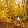 Golden hues set the tone for this landscape.