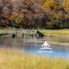 A rather rickety footbridge spans the marshland in the Mashamock Preserve.