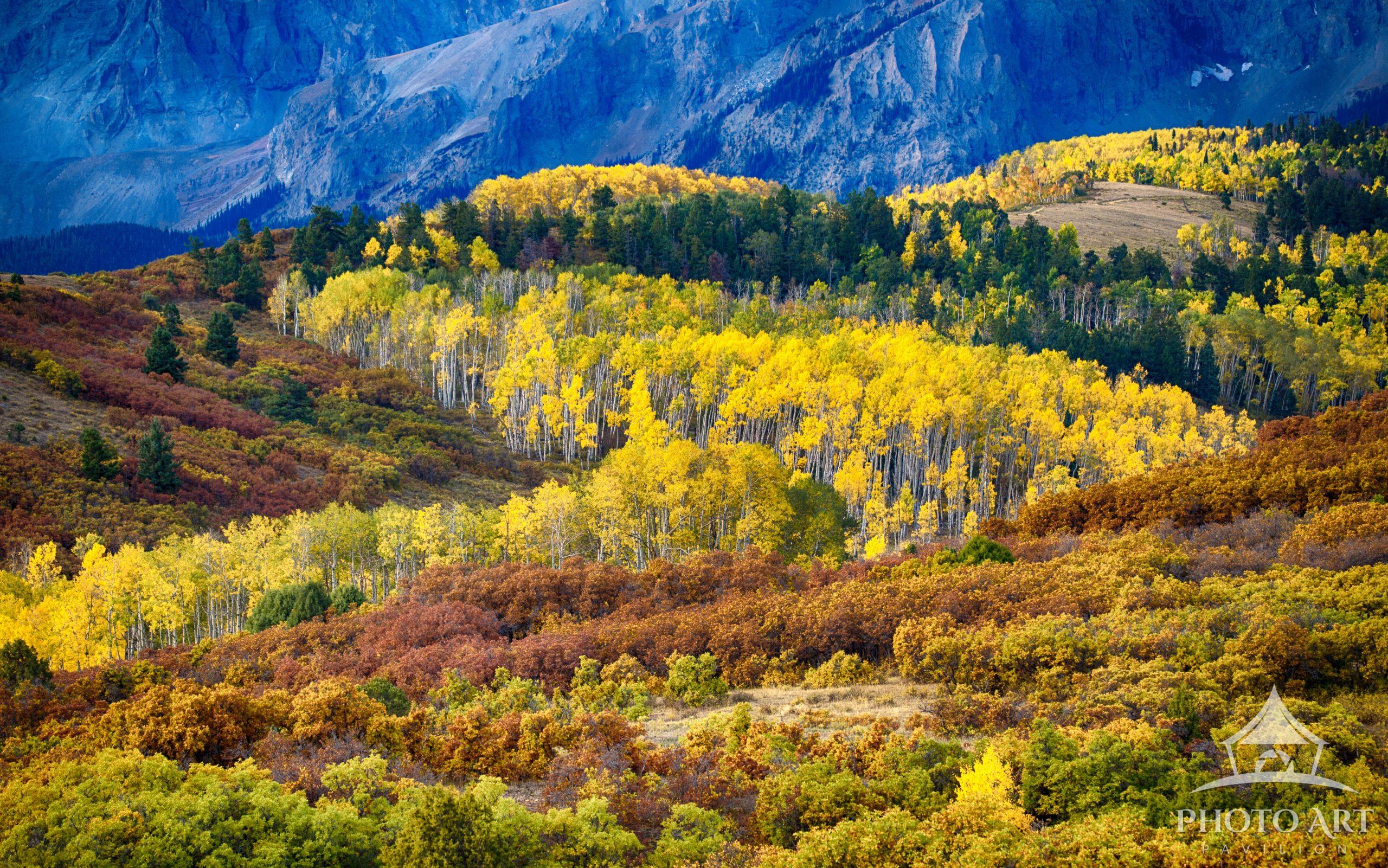 Capturing Light and Beauty: A Journey Through the Lens of Dawn Herlihy Reilly