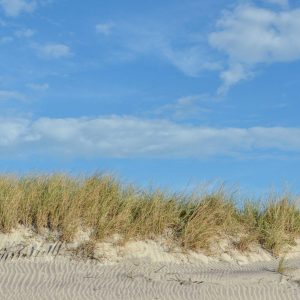 Beautiful day at the beach looking up toward the beach dune.