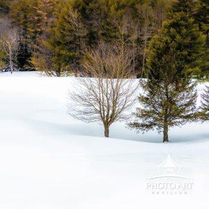 Little Red Hut (Vermont, USA) 122 A little red hut remains to greet the winter months beside a snow-covered golf course in Ludlow,