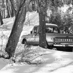 Old truck sitting in the snow, amongst the trees. Black and white photograph.