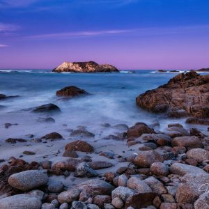 Just before the pink colored the sky, the harbor seals, cormorants, pelicans and gulls that call