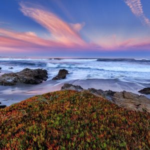 Dawn on the central coast of California at Pebble Beach.