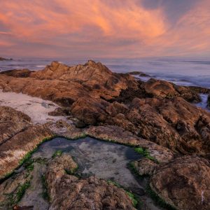 You can almost always count on something magical happening along the shore at Pebble Beach on