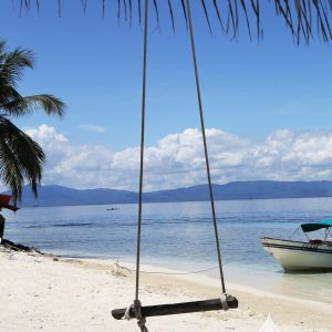 Swing on beach in San Blas, Panama