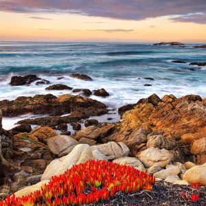 Driving near Pebble Beach, California I spotted the light at sunset falling onto this vivid red