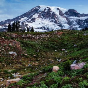 Taken along the Skyline Trail above Paradise in Mt. Rainier National Park, Washington, USA.