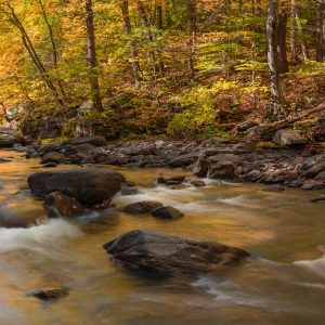 Brilliant fall foliage is reflected from the
surface of a rushing creek.