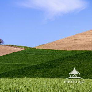 The Palouse-1 63 The verdant and multi-colored hills of the Palouse are a photographer's dream.