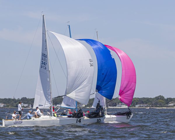 J/24s head downwind  overlapped jockeying for any edge to move ahead.