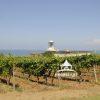 Lighthouse and Vineyards 99 The pretty vineyards and lighthouse of the island of Salina. Sicily, Italy.