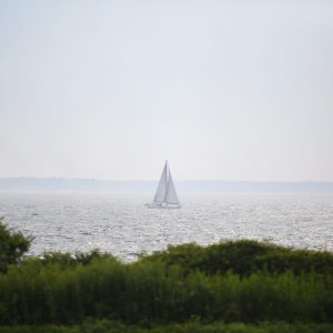 A little white sailboat passing the shoreline near Brenton Point State Park in Newport, Rhode Island