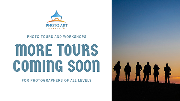 PHOTO TOURS & WORKSHOPS 5 Facebook Event