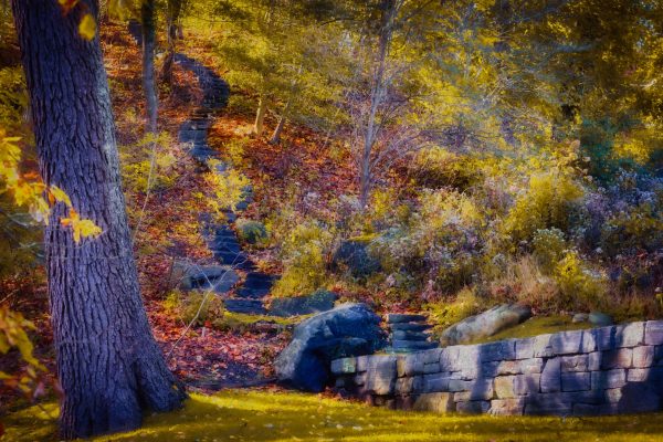 A discrete path at Avalon Nature Preserve that makes me wish it lead to heaven.