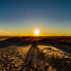 Burst of golden sunstar rays casting quiet shadows over the dunes.