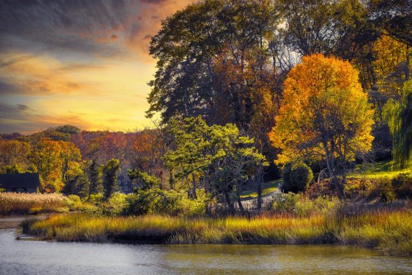 Marshlands of Stony Brook