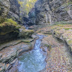 Flowing River cut into gorge in Watkins Glen State Park, Watkins Glen NY