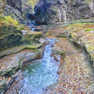 Wide angle portrait view of flowing river with trees glowing in the background light up by the