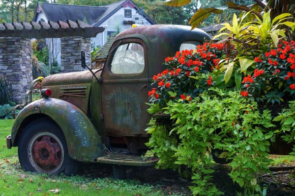 Coastal Design has the most beautiful landscape designs.