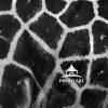 Giraffe Skin B&W 110 I love the texture of this image.