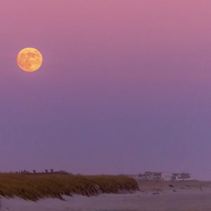 Full Beaver Moonrise over the dunes of Fire Island. As the Moon was rising the sun was setting in