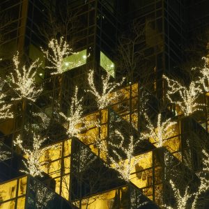 Christmas comes to the stepped, black facade of one of New York's famous 5th Avenue residences.