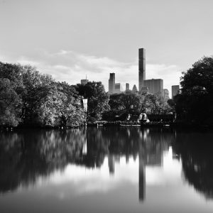 Central Park offer endless opportunities for photographers