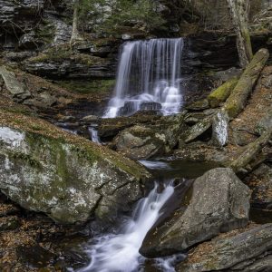 Forest Waterfall & Cascade- Ricketts Glen State Park
