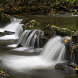 Upper Lynn Prong Cascade
