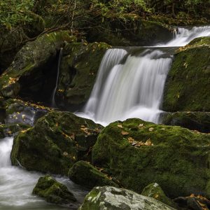 Upper Lynn Prong Cascade