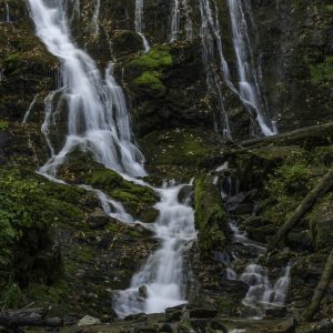 Mingo Falls- Great Smoky Mountains National Park