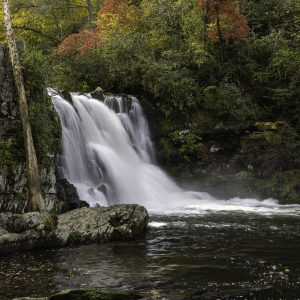 Abrams Falls Autumn