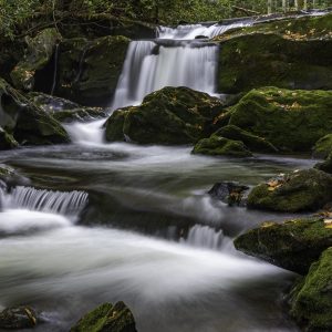 Lynn Prong Cascade- Cades Cove- Great Smoky Mountains National Park