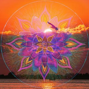 Blending my hand drawn mandala art design 'Spiritual Growth' with a sunset creates a unique and