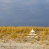 On Notice 59 "Please Keep off the Dunes" says it all. Our fragile dunes are all that protects Fire Island,