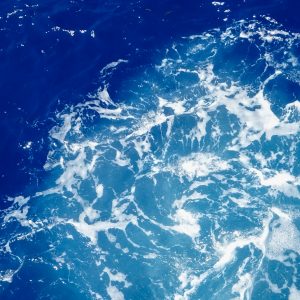 Abstract forms in the ocean