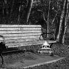 Old Bench 71 I like how some things looks better when are old.