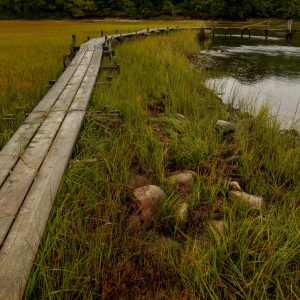 Love the old wooden bridge path located at the far end of the Mashomack Preserve in Shelter Island.