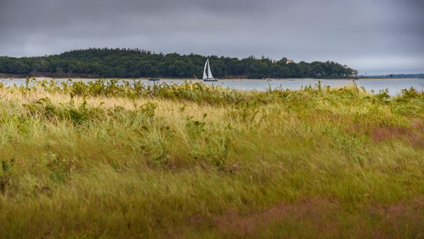 This was taken while exploring Mashomack Preserve on Shelter Island overlooking the Peconic River.