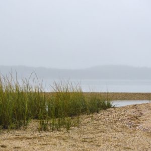 View from the beautiful Mashomack Preserve on Shelter Island. We had access to an area of the island