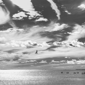A beautiful day along the Great South Bay of Long Island in East Islip. It was just one of those