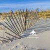 Protecting the Dunes 2 50 Storm fencing protects the fragile dunes against the ravages of winter surf. Our dunes are all that